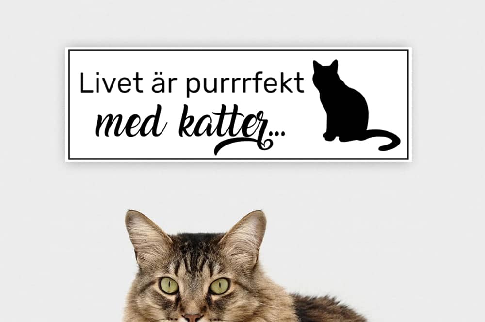 Kattskyltar