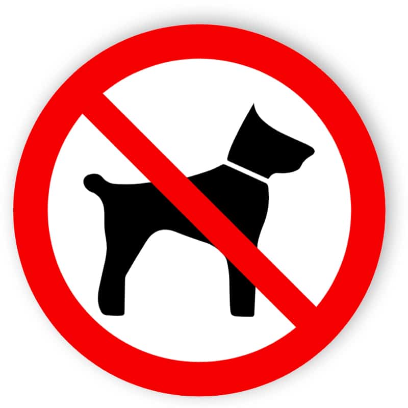 Inga djur förbjudna