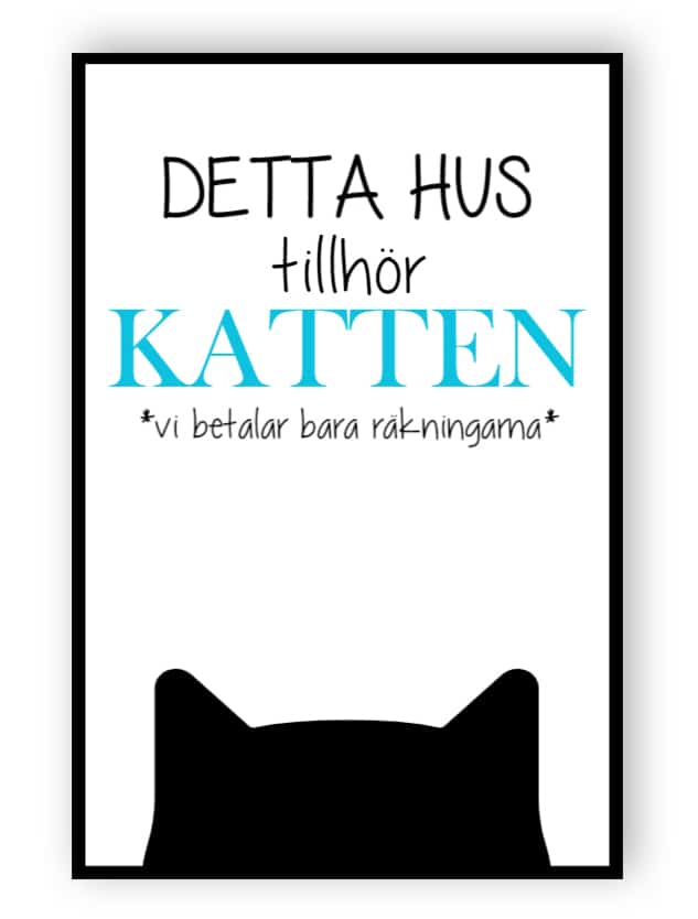 Kattskylt