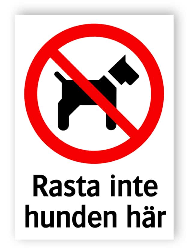 Rasta inte hunden här