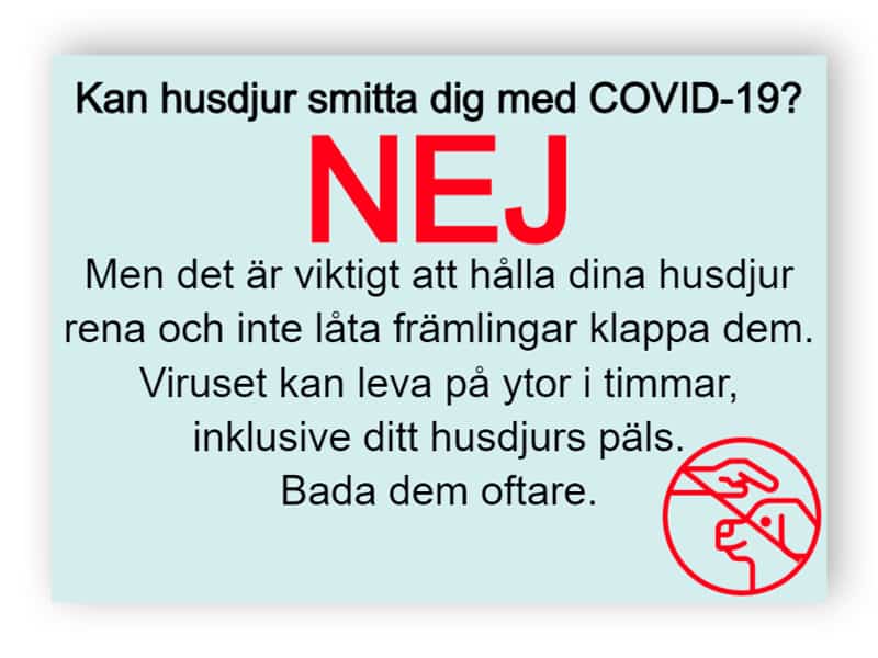 Kan husdjur smitta dig med COVID-19? - klistermärke 1