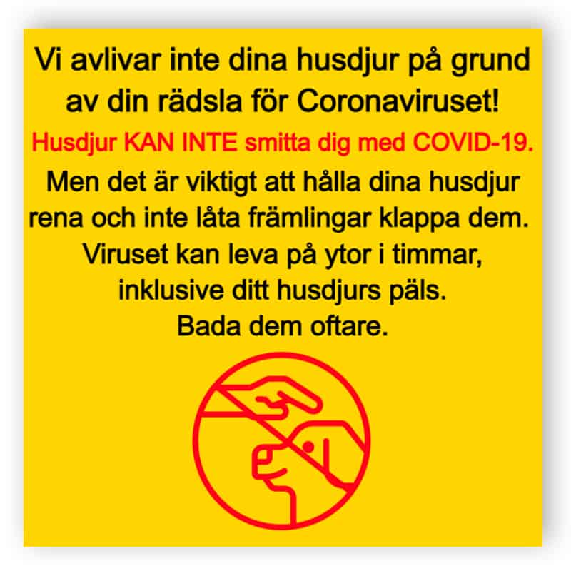 Husdjur kan inte smitta dig med COVID-19 - klistermärke