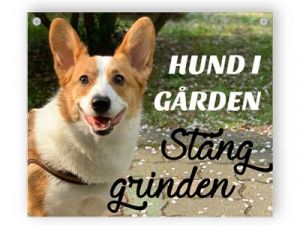 Hund i gården - Aluminium skylt