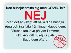 Kan husdjur smitta dig med COVID-19? - klistermärke 1